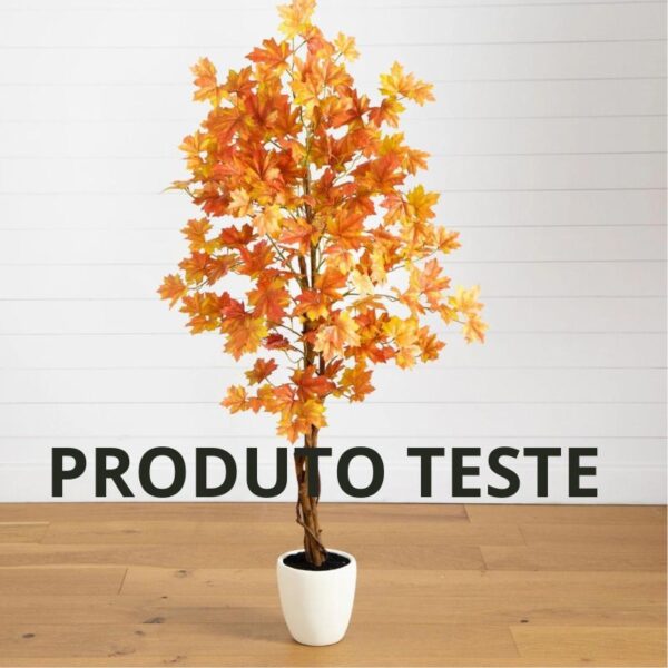 Produto Teste 01